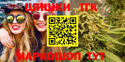 мдпв Гагарин